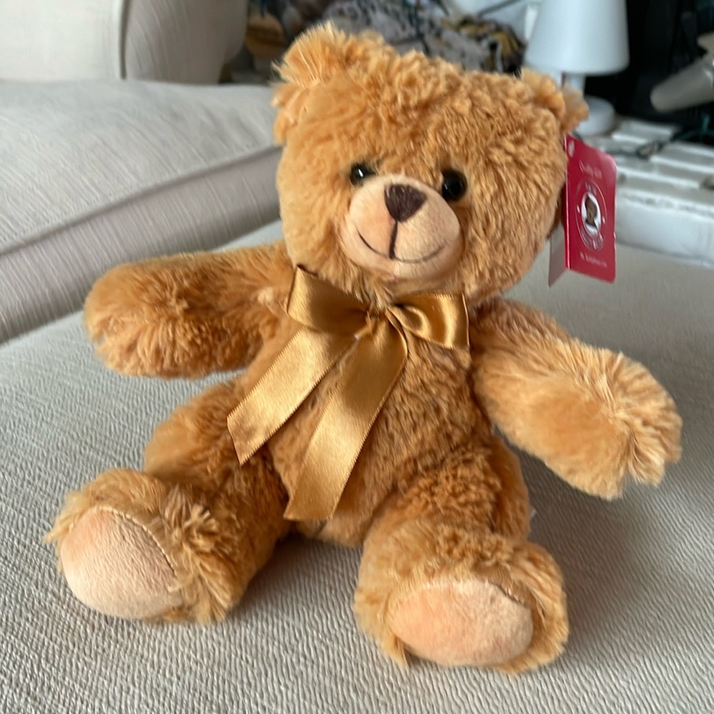 Ms Teddy Bear